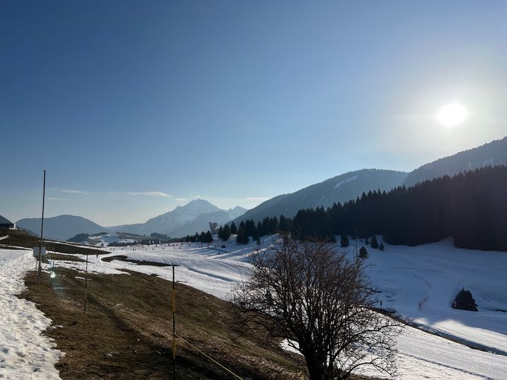 Chimère aux Glières.