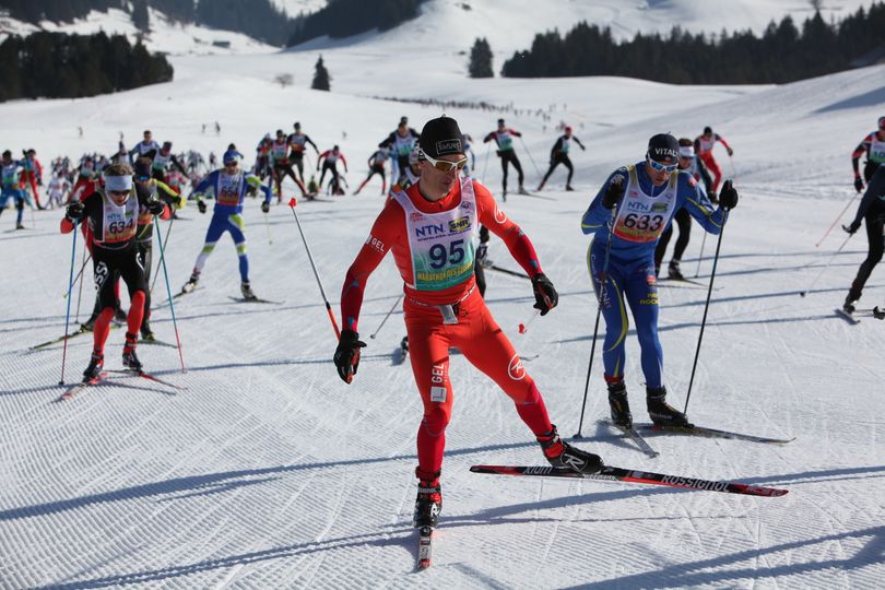 Chimère aux Glières 4