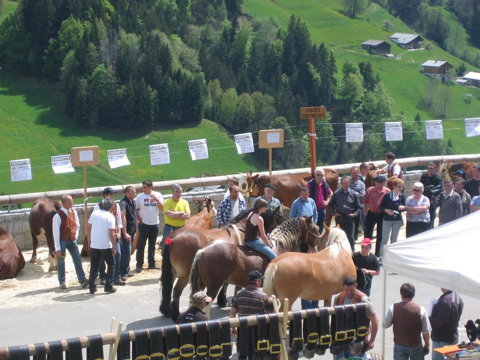 concours agricole