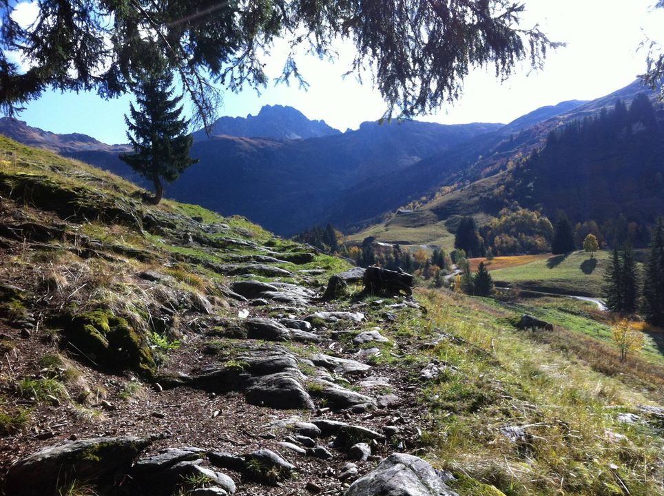Le Chemin