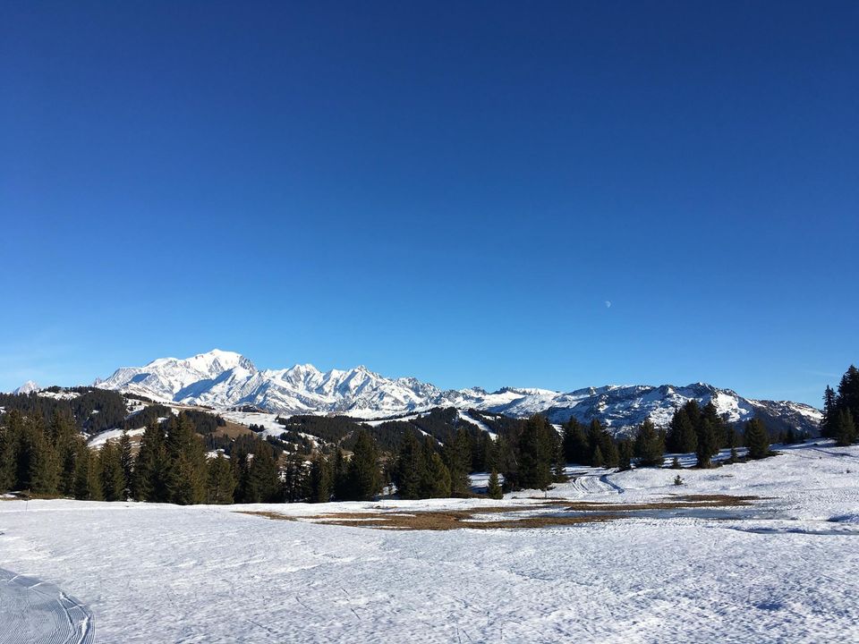 Automne en décembre