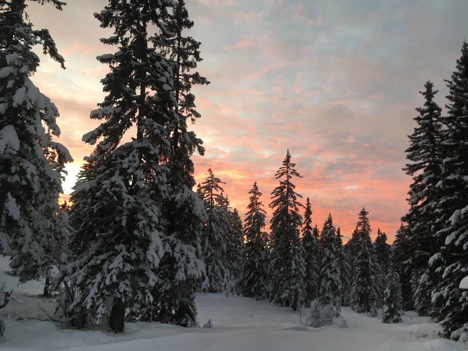 Les Saisies nordique