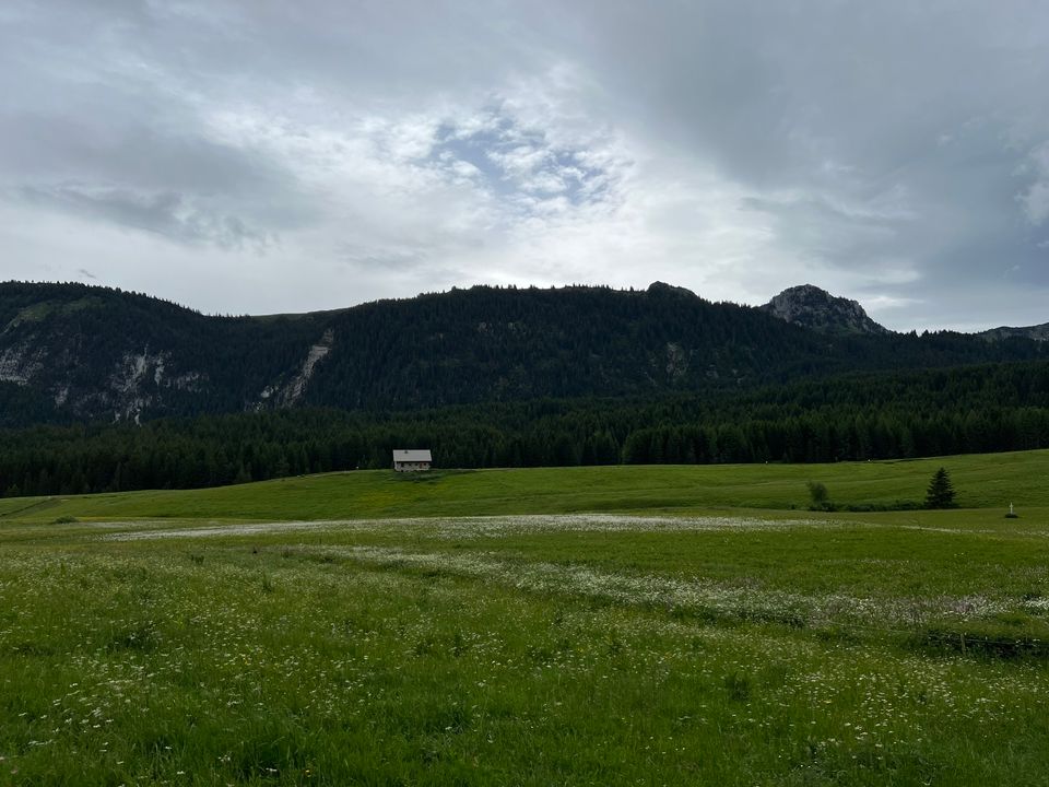 Chimère aux Glières 9