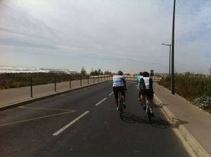 Cathar(e)sis day one