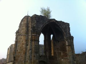 Cathar(e)sis Day Three