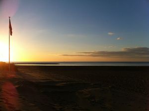 Cathar(e)sis day four