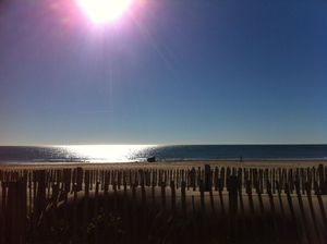 Cathar(e)sis day five