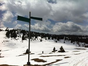 Musique Classique maestro