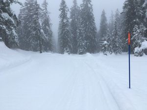 Le Photathlon (waikikipédia)