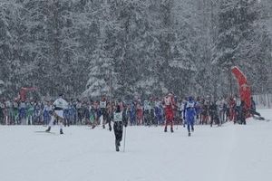 Qui ne dort pas, BORNANDINE