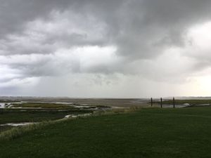 Un Piccard en Picardie, suite.