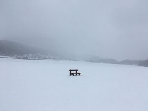 Engadine Dingue Dong 2/3