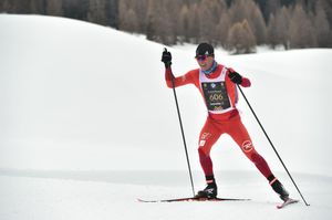 Engadine Dingue Dong 3/3