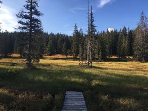 Le petit Trianon 1/3