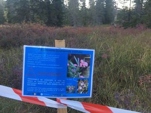 Le petit Trianon 2/3