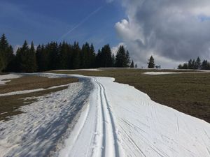 Sports sans transition