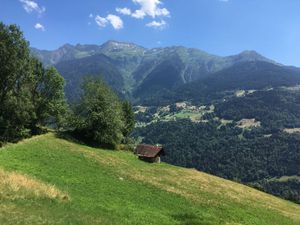Le chemin des pommiers